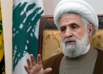 Naim Qassem