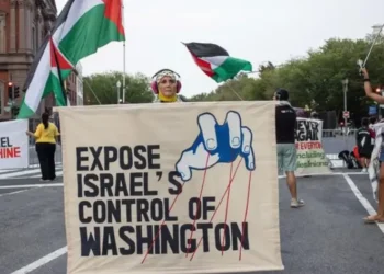 Pro-Palestina